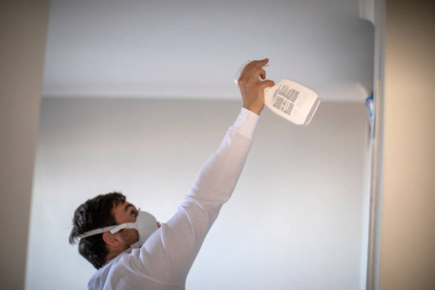 Reliable Franklin, NJ Mold Remediation Solutions